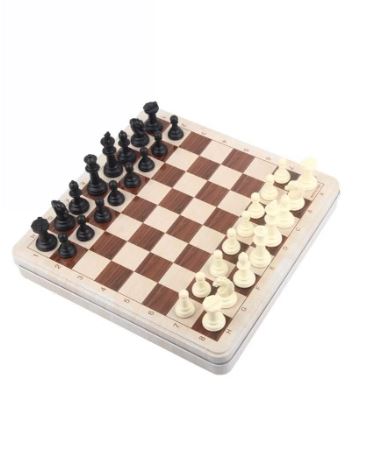 Chess and Snake ladder 2 in 1 Board/  2 في 1 لعبة سلالم الثعبان والشطرنج المغناطيسية