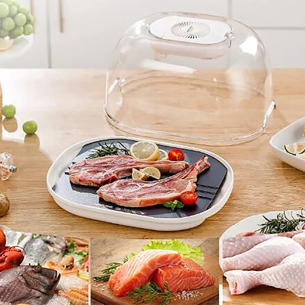 Defrost plate with fan/لوح تذويب الجليد مع مروحة