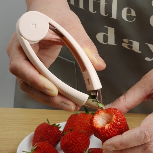 [AM-3076] Fruit Seed Remover/مزيل بذور الفواكهة