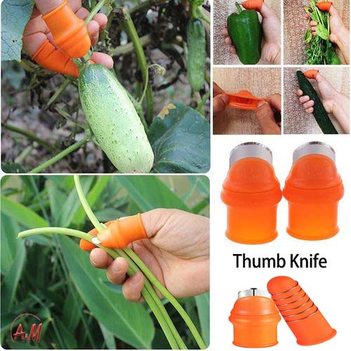 سكين الأصبع/ Thumb Cutter