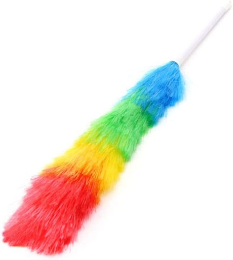 Cleaning Brush / ريشة التنظيف